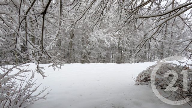 Appartement Duplex à vendre - 3 pièces - 57.49 m2 - LES DESERTS - 73 - RHONE-ALPES - Century 21 Immobilière De La Vallée