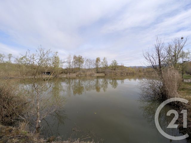 terrain à vendre - 17470.0 m2 - CREYS MEPIEU - 38 - RHONE-ALPES - Century 21 Immobilière De La Vallée