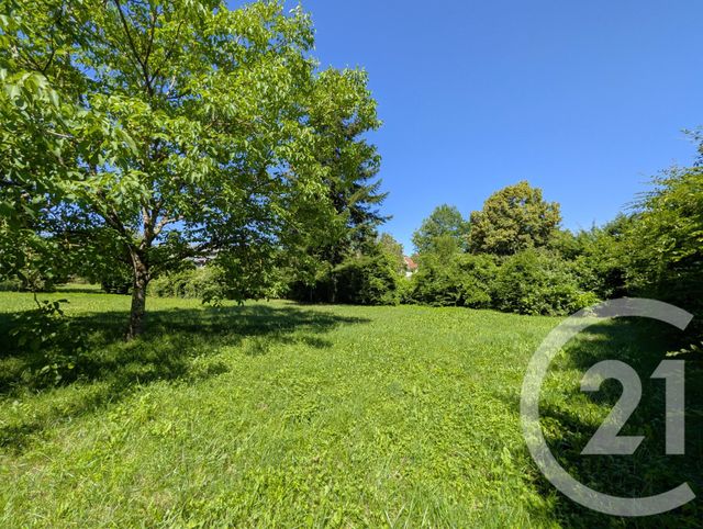 terrain - ST BERON - 73